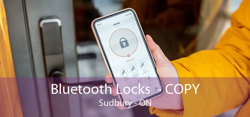 Bluetooth Locks  - COPY Sudbury - ON