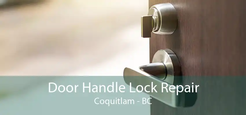 Door Handle Lock Repair Coquitlam - BC