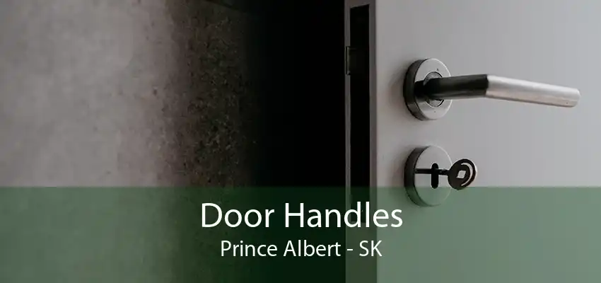 Door Handles Prince Albert - SK