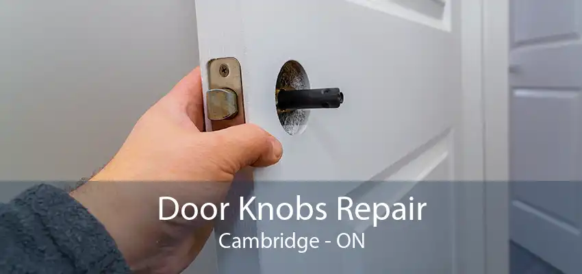 Door Knobs Repair Cambridge - ON