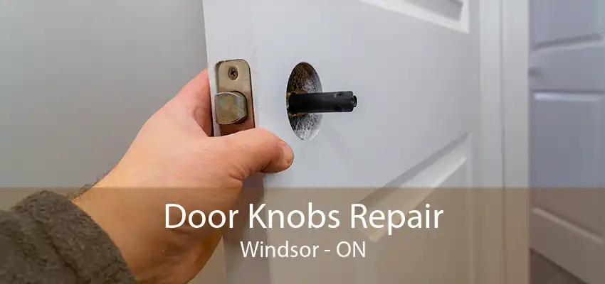 Door Knobs Repair Windsor - ON