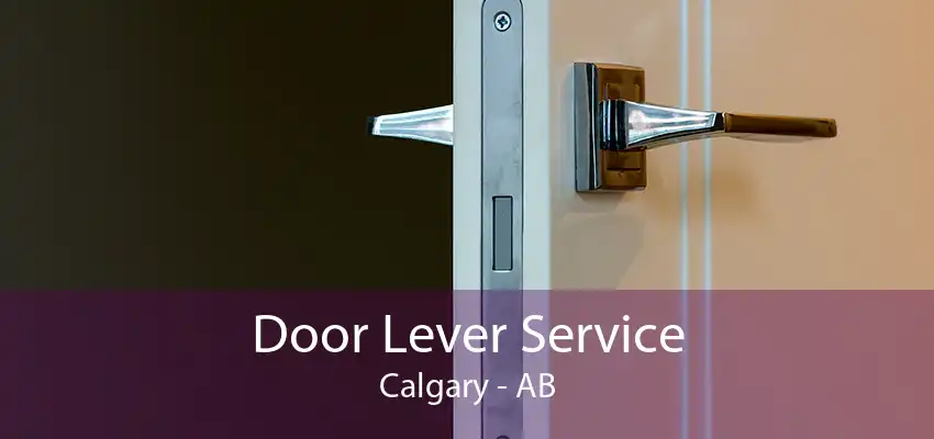 Door Lever Service Calgary - AB