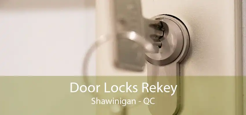 Door Locks Rekey Shawinigan - QC