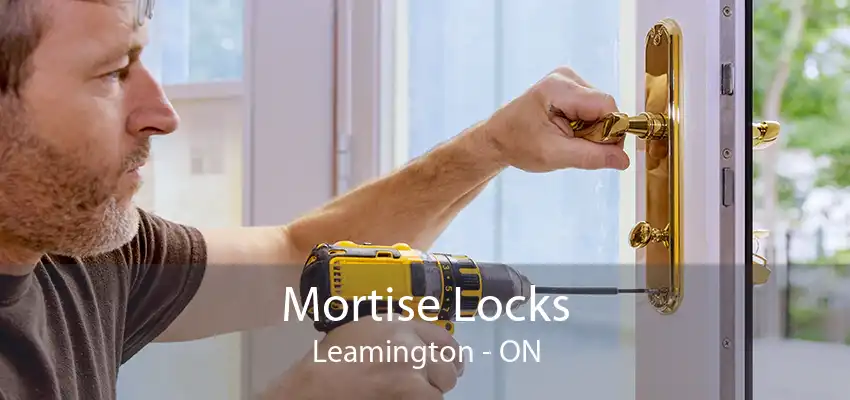 Mortise Locks Leamington - ON